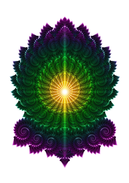 Fractalgasm
